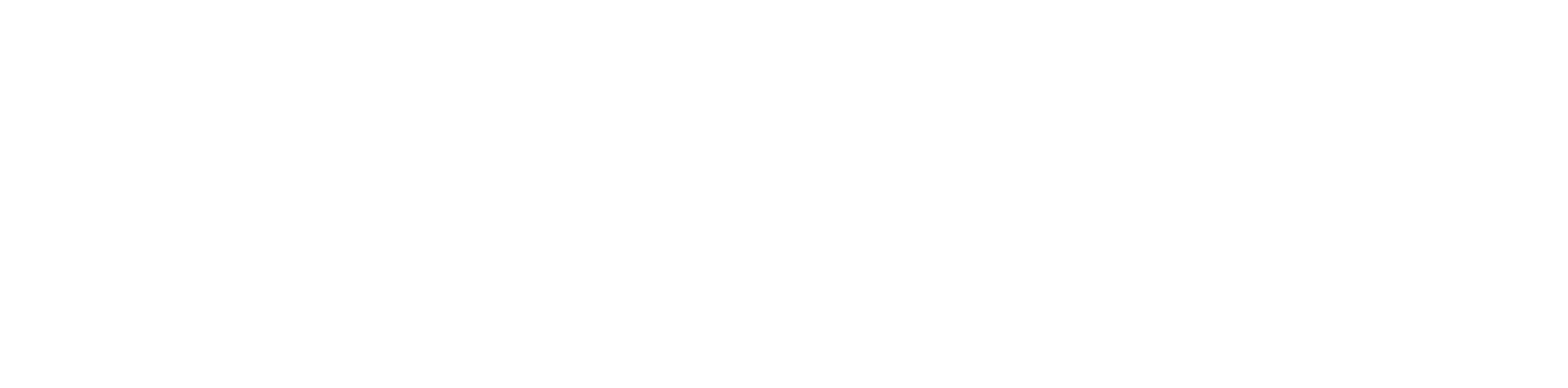 Logo Libero
